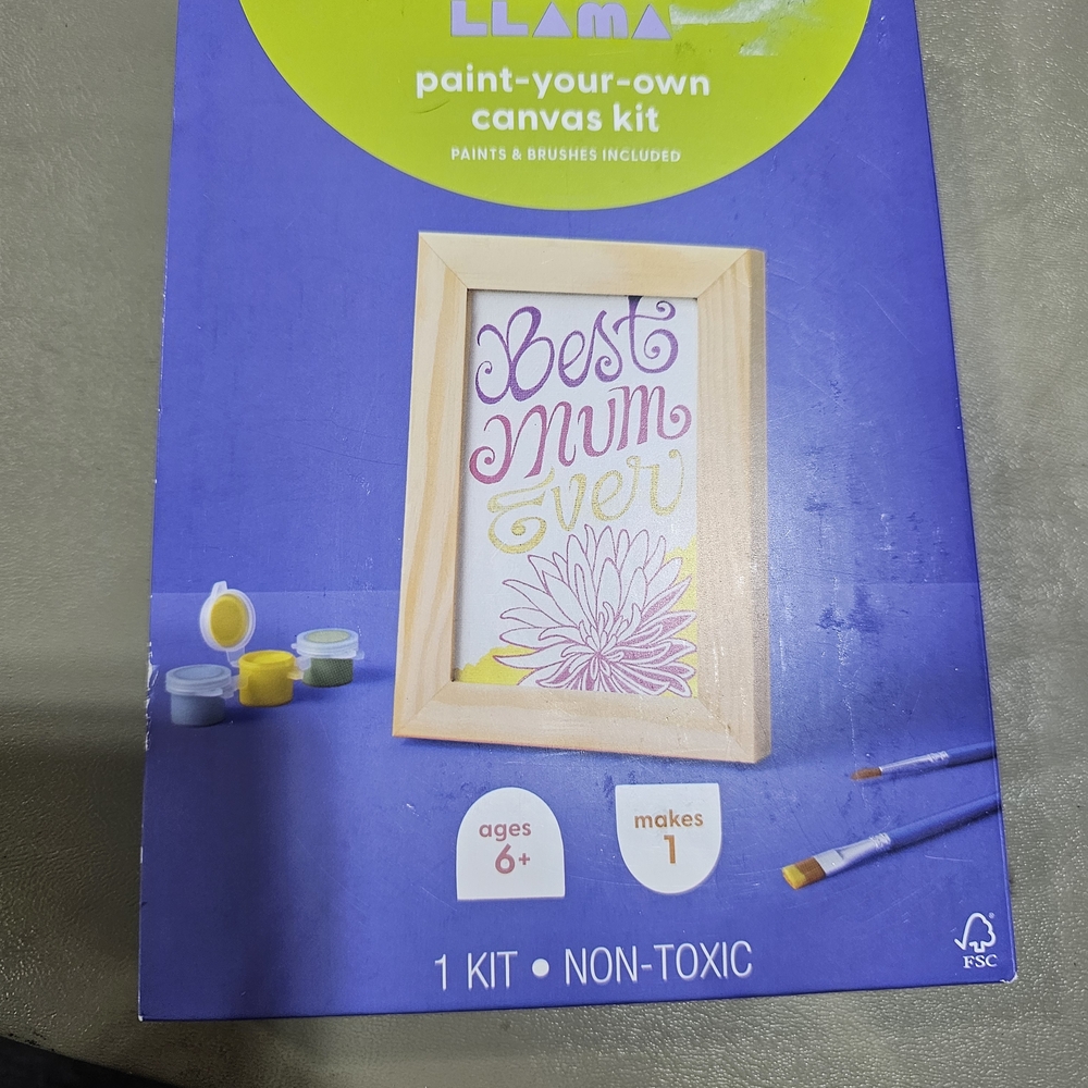 Paint-Your-Own Canvas Kit - Best Mum Ever
